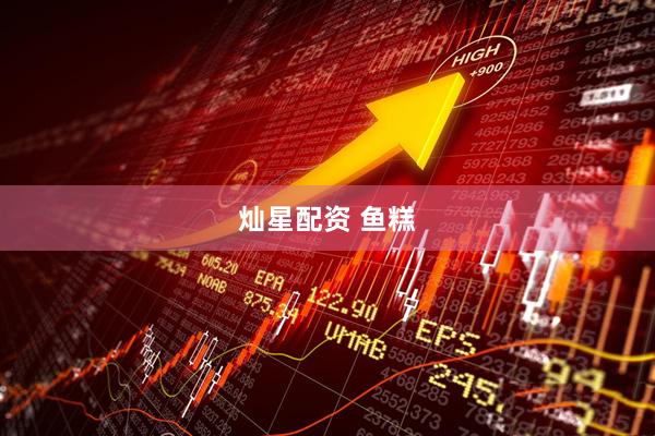 灿星配资 鱼糕