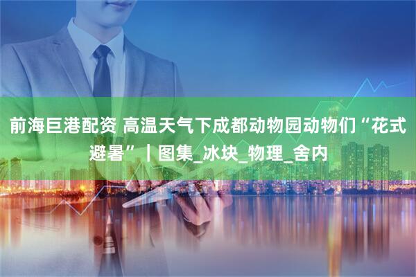 前海巨港配资 高温天气下成都动物园动物们“花式避暑”｜图集_冰块_物理_舍内