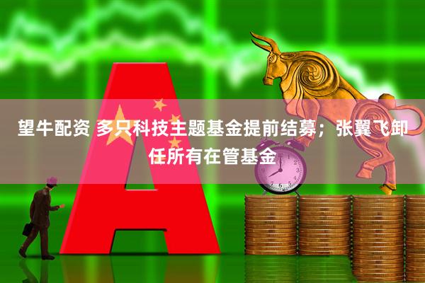 望牛配资 多只科技主题基金提前结募；张翼飞卸任所有在管基金