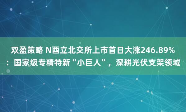 双盈策略 N酉立北交所上市首日大涨246.89%：国家级专精特新“小巨人”，深耕光伏支架领域