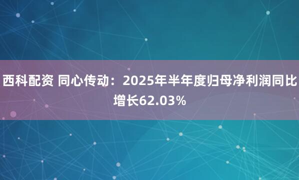 西科配资 同心传动：2025年半年度归母净利润同比增长62.03%